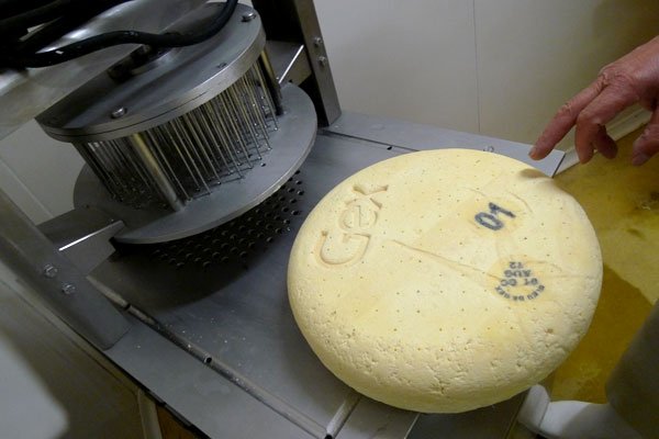 No início do processo de maturação, os queijos são perfuradas com agulhas para permitir que o oxigênio prospere no interior da massa