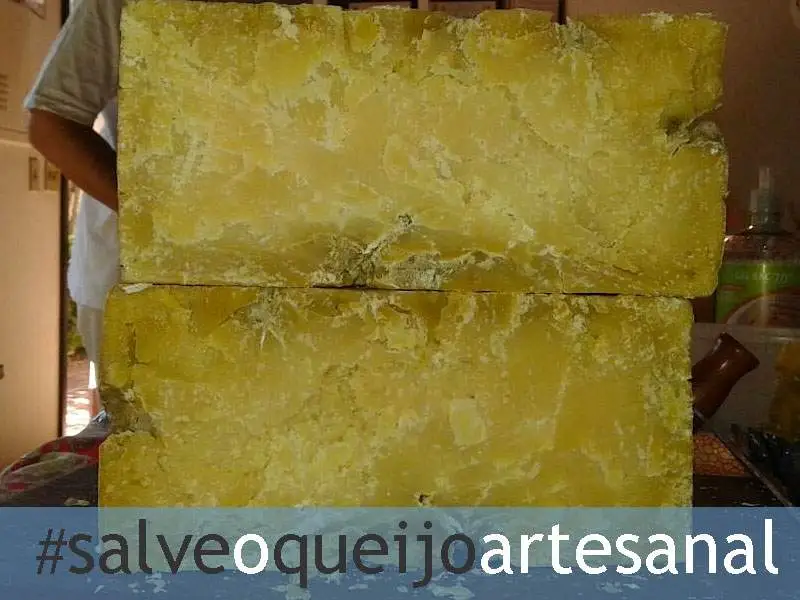 salve003