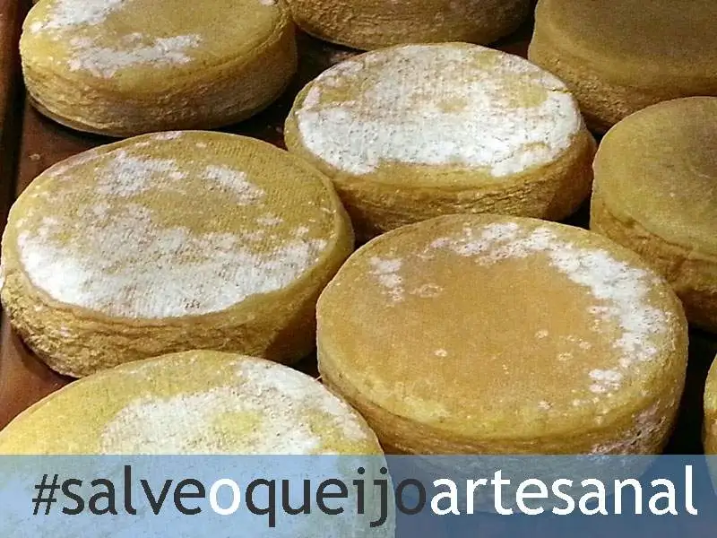 salve009