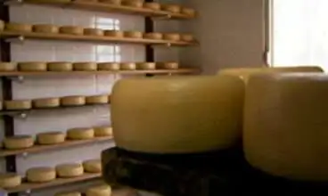Queijarias têm desafio de manter produção artesanal dentro das regras