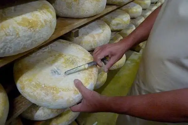 Sondagem da massa para verificar o bom desenvolvimento do azul.