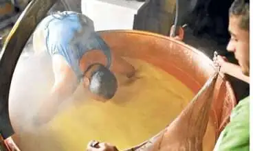 Por que o leite cru é melhor do que o pasteurizado?