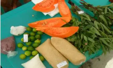 Consulta pública debate novas normas sanitárias para alimentos de base familiar e artesanal
