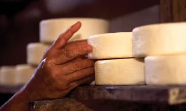 Vídeo: Presidente de sindicato francês degusta queijo canastra