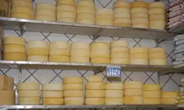 Queijo: período de maturação satisfatória chega a sete dias, diz pesquisa