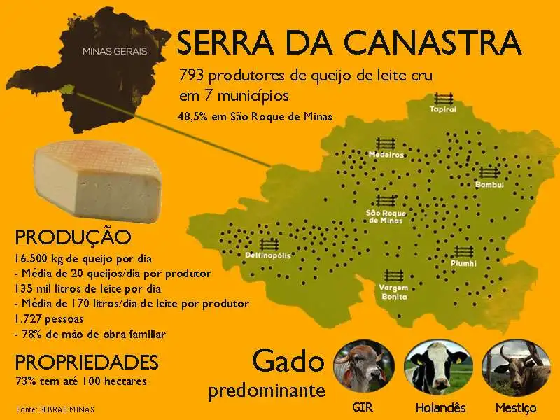 infografico