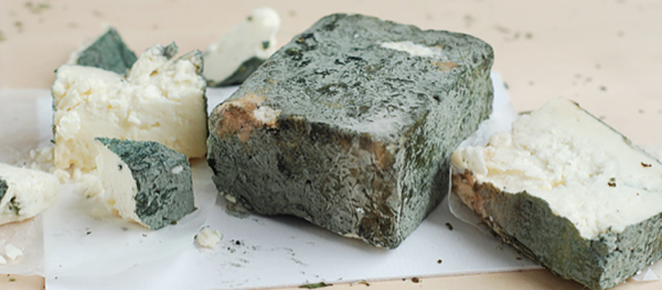 Tcherni-Vit-Cheese