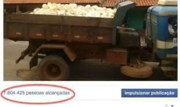 ENTERRADOS VIVOS: 13 mil queijos de leite cru da Serra da Canastra