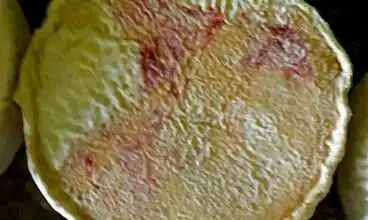 Pseudomonas são mofos indesejáveis que colorem o queijo