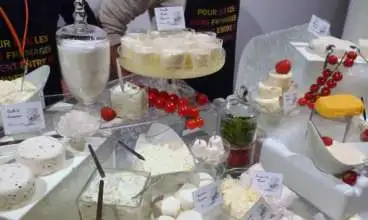 Programa especial louva o queijo artesanal na maior festa de gado zebu das Américas