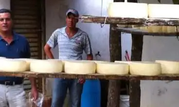 Temer tira o queijo da agricultura e queima na fogueira da Anvisa: reflexões em torno da nova lei federal do queijo