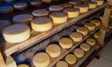 Projeto “Promoção dos Modos de Fazer o Queijo Minas Artesanal – Patrimônio Cultural Brasileiro” promove fóruns de escuta e discussão