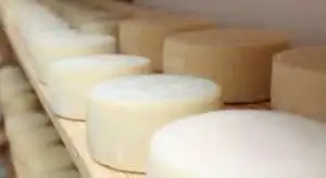 Queijo Capril