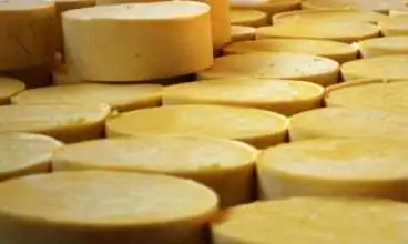 Selo Arte: mais do mesmo?