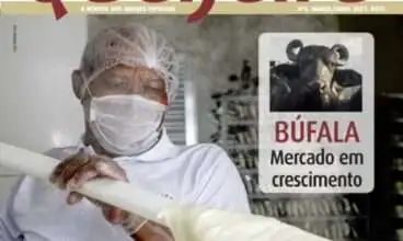 Os benéficos queijos de leite cru