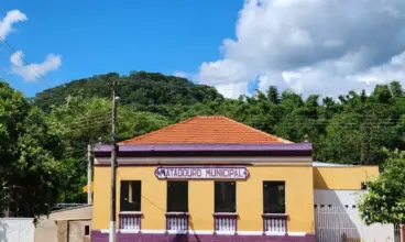 Vivedouro Queijaria Artesanal