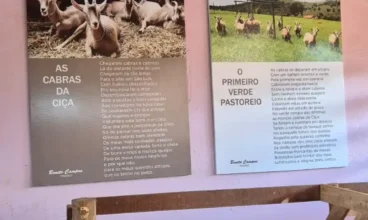 “As cabras da Ciça”: versos e poemas em São Luiz do Paraitinga
