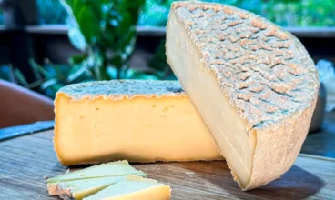 Do erro a premiação: queijo premiado nasceu de um erro na produção