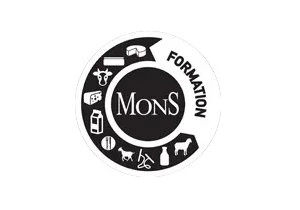 Formation Mons