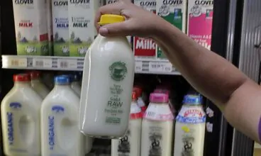 Chefe da FDA defende ataque ao leite cru