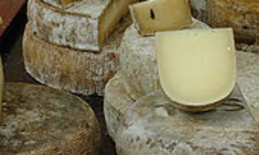 Os caubóis da coalhada de Miami: o queijo de leite cru é a nova cocaína?