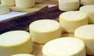Produtores de queijo artesanal têm até 2012 para se adequarem
