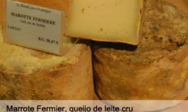França: cresce consumo de queijo em Bordeaux
