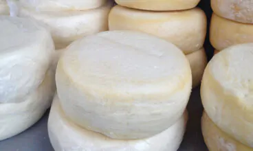 Aprovada nova lei para os queijos artesanais em Minas