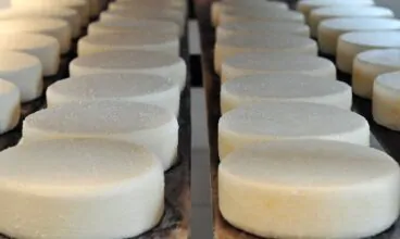 Nova lei do queijo artesanal mantém Minas na vanguarda