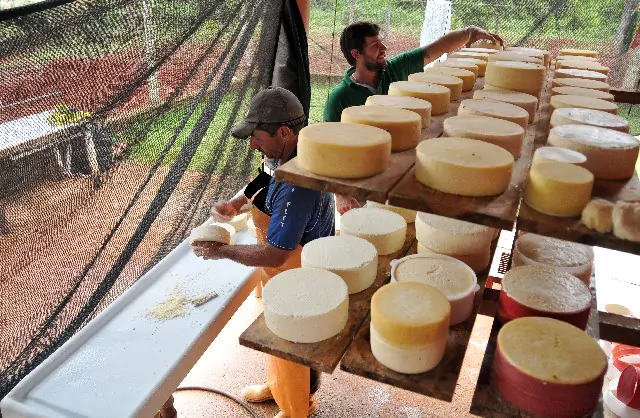 Guilherme Ferreira (ao fundo), investe em uma queijaria nos padrões estabelecidos da Lei 20.549, de 2012 -Foto: Willian Dias 