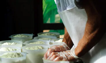 São Paulo recebe exposição sobre etapas da produção do queijo