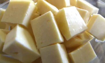 Embrapa tem publicação que ensina fabricação do queijo de coalho