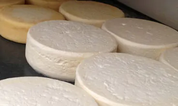 Desafio de registrar queijo é foco do 2º dia de Simpósio de Queijos Artesanais
