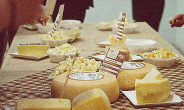 Futuro do queijo artesanal é discutido no Sul