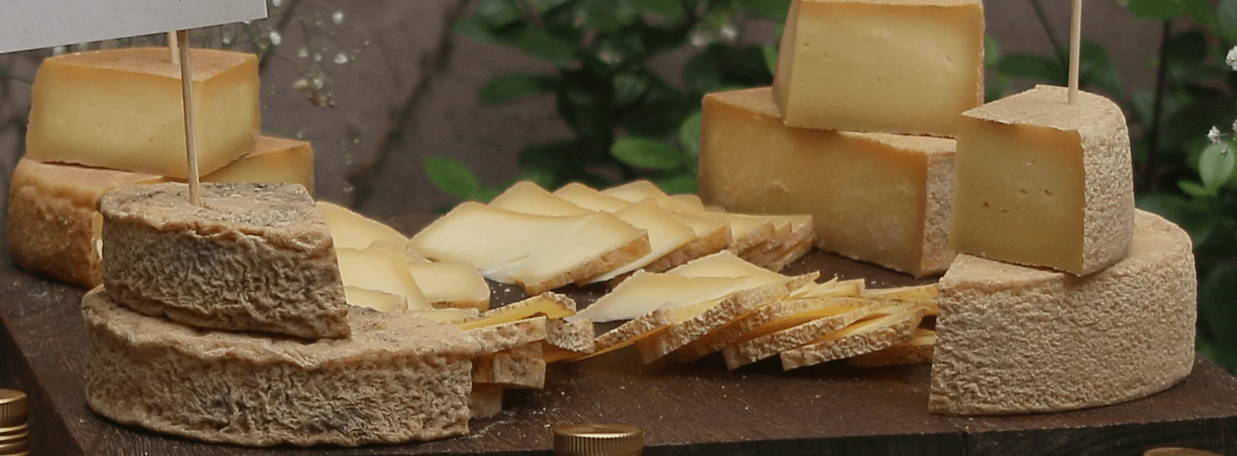 Um Restaurante especializado em pratos com queijos em Goiânia - CHEESE