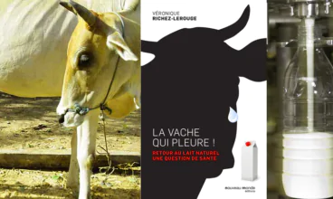 A vaca que chora: retorno ao leite natural, pela nossa saúde