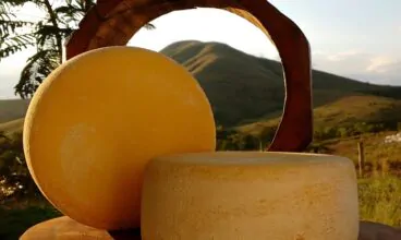 Entenda como a certificação de origem pode proteger o queijo canastra