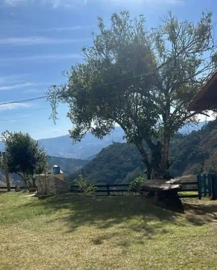 Queijo Serra do Condado