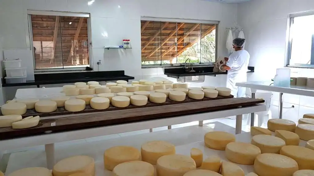 Emater lança cartilha com boas práticas de fabricação do queijo artesanal.