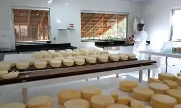 Emater lança cartilha com o passo a passo das boas práticas de fabricação de queijos artesanais