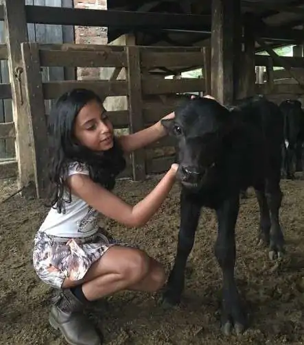 Laticínios Búfalas Garota