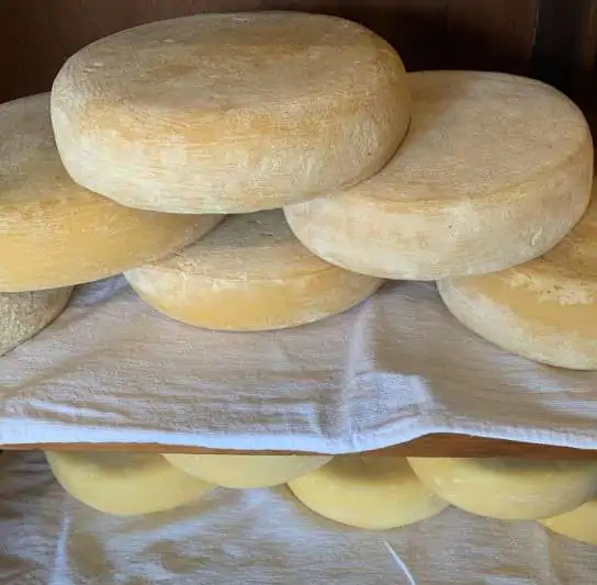 Queijo Pátio de Pedra